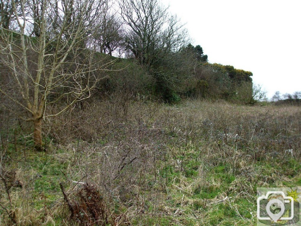 5April10 - Price's Folly near Tredavoe