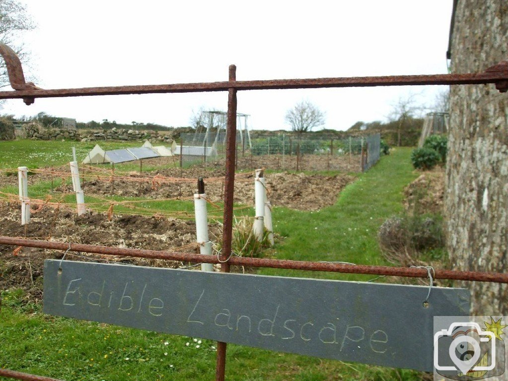 5April10- The village of Kerris