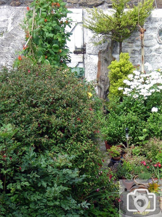 A Daniel Place Garden 003