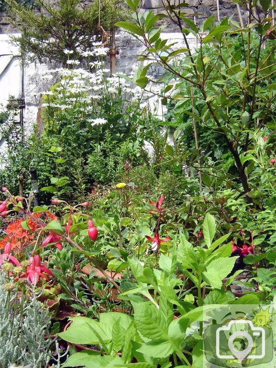 A Daniel Place Garden 005