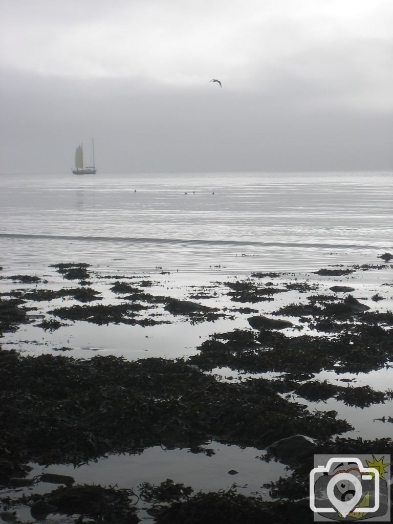 A peaceful scene