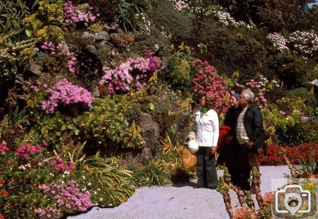 Admiring flowers, Tresco Gardens, Scilly