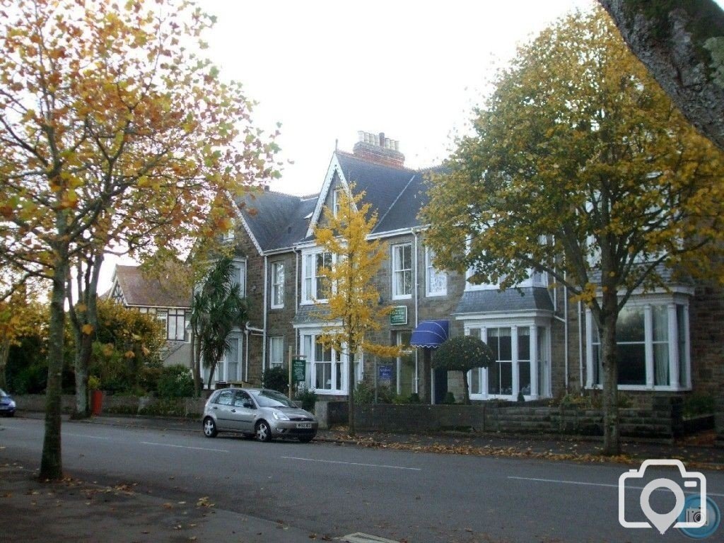 Alexandra Road in Autumn, 4th Nov10