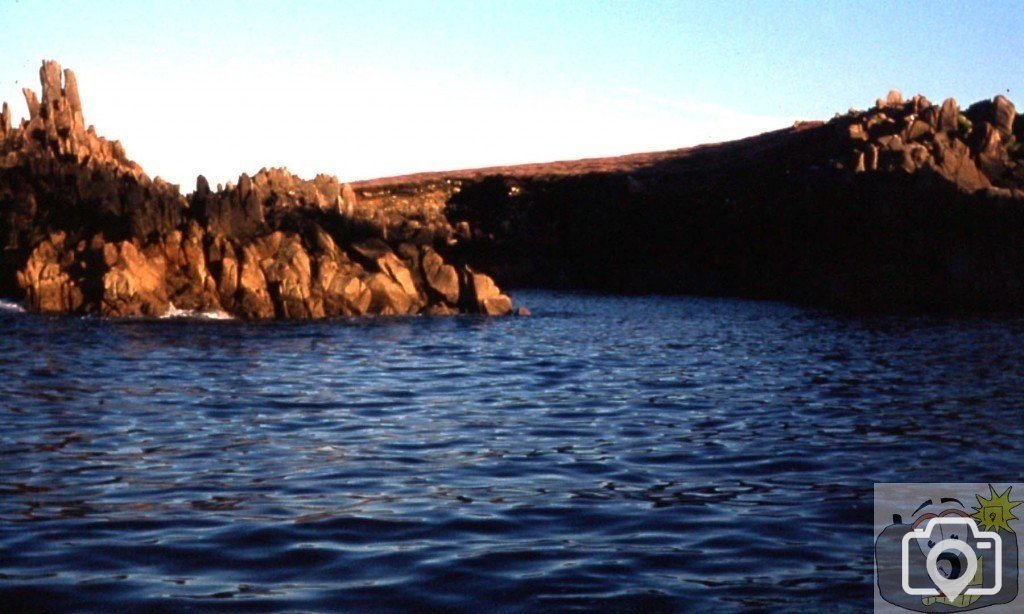 An evening trip to Annet for bird watchers.