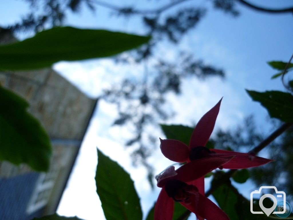 another looking up
