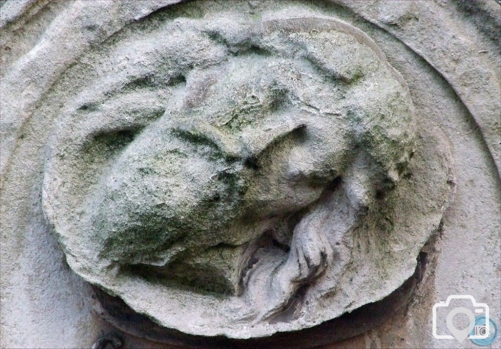 Arms of St John