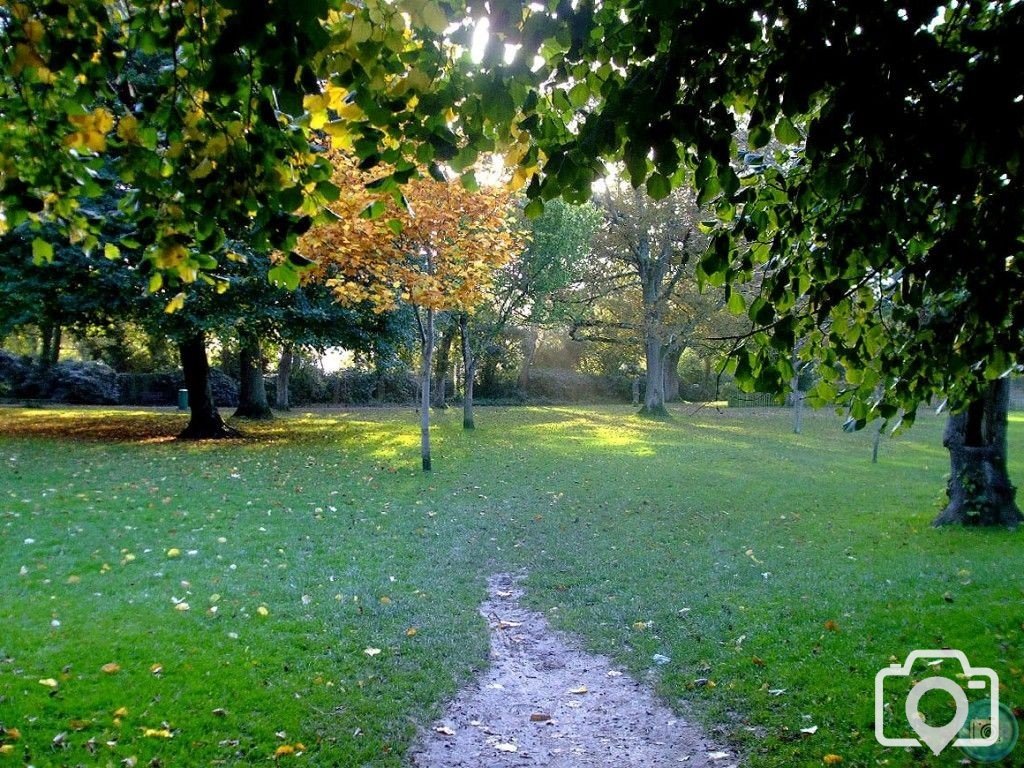 Autumn scene in Penlee Park