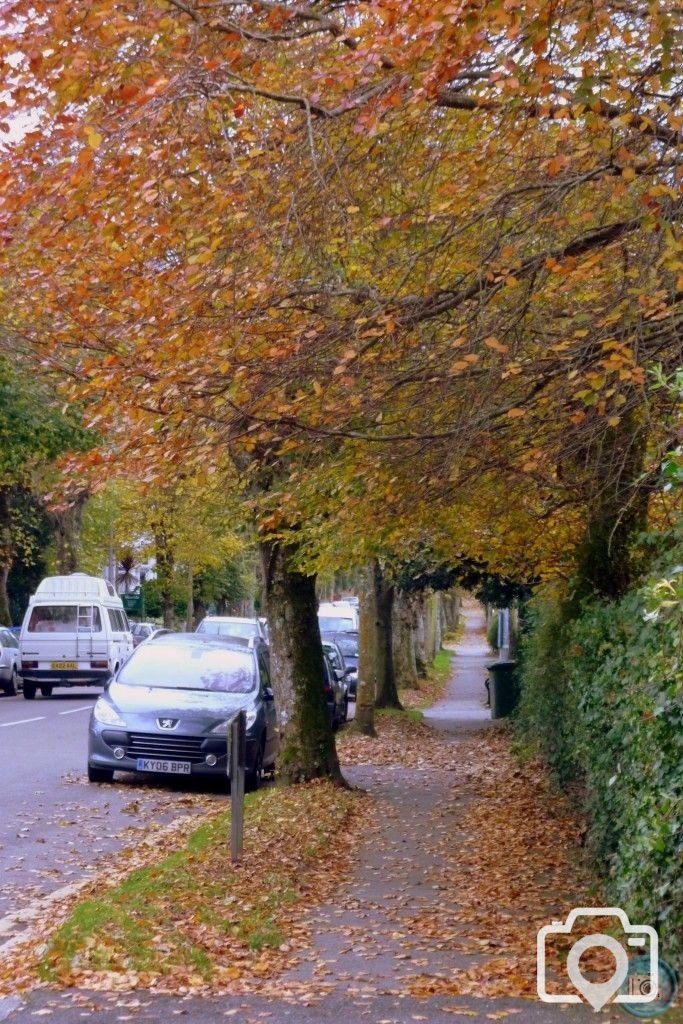 Autumnal Alexandra Road 10