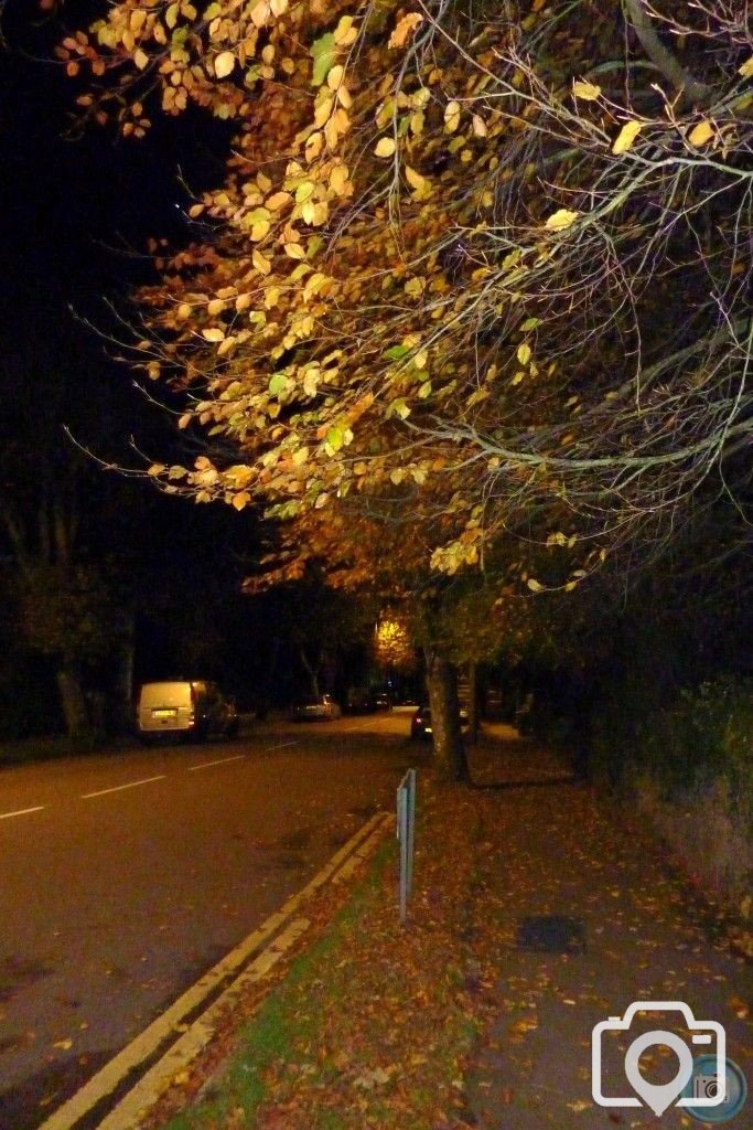 Autumnal Alexandra Road 14