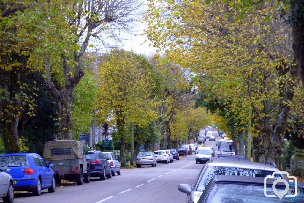 Autumnal Alexandra Road 6