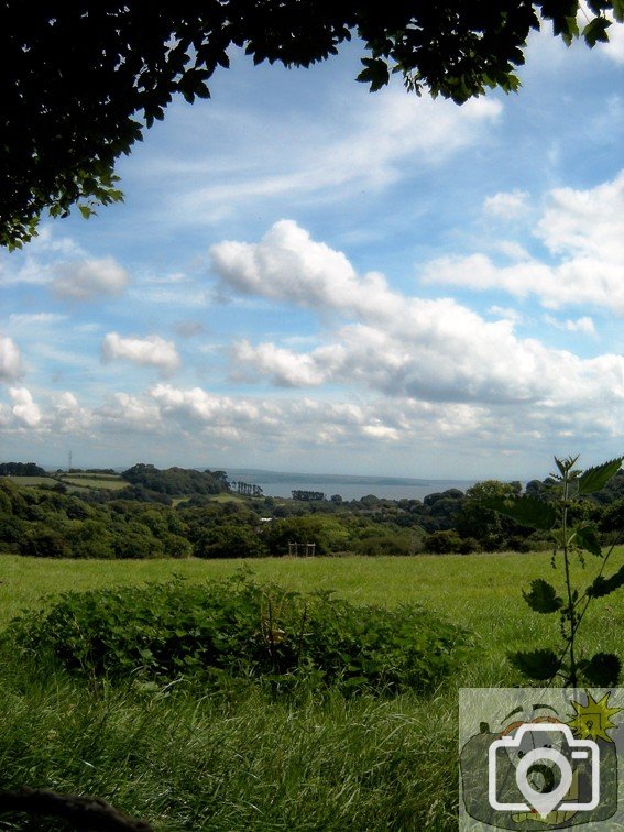 Bay Clouds