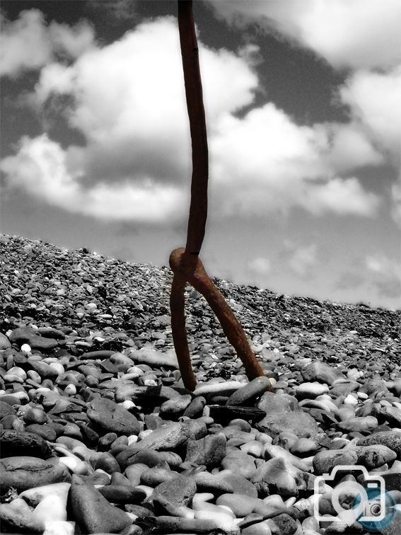 Beach Railing