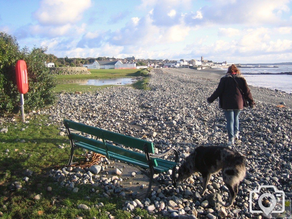 Bench on the beach