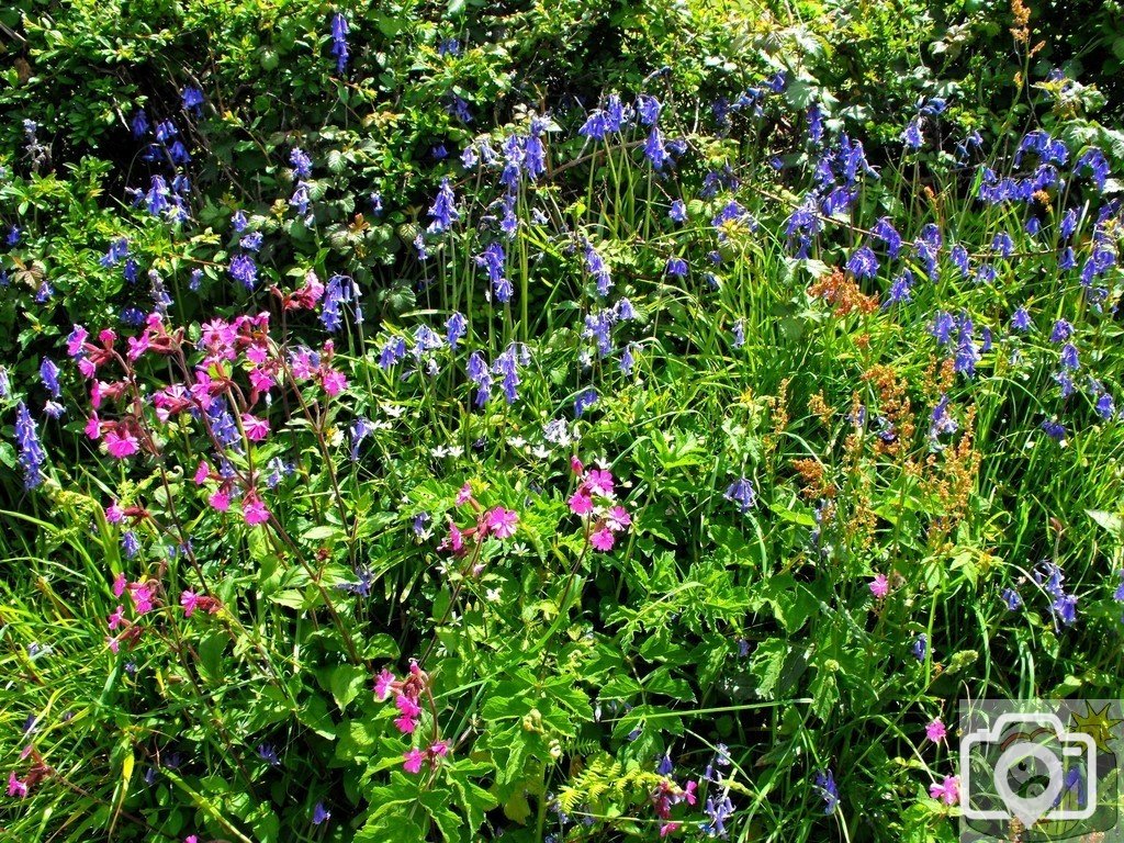 Blue, pink and green