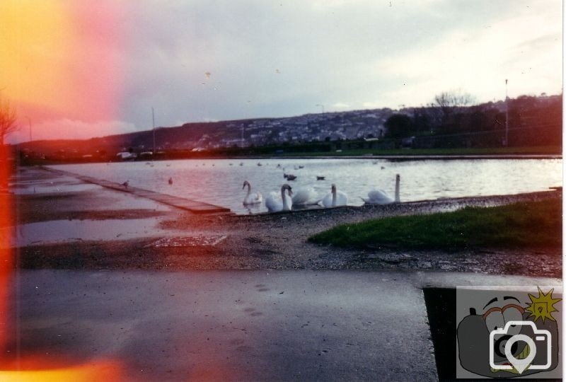 boating pool