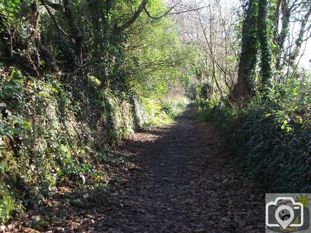 Boscathnoe (2)