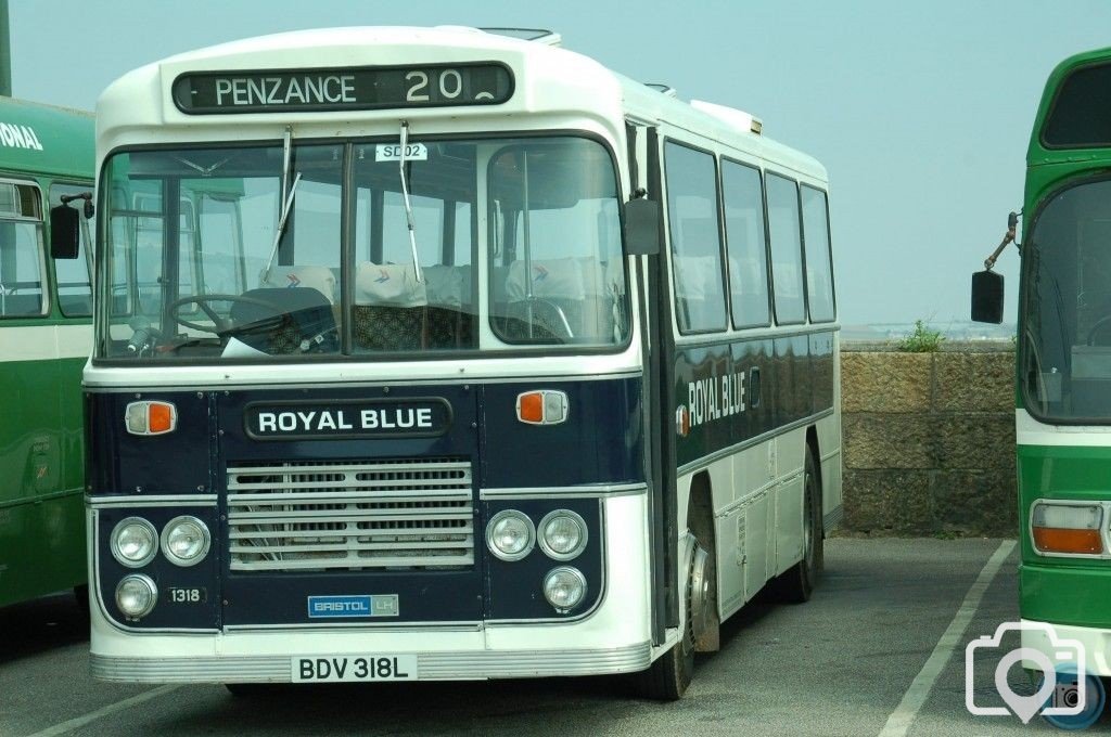 busses