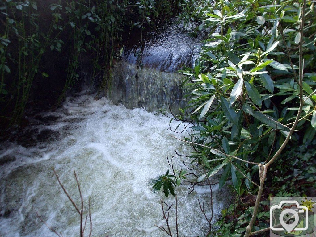 CASCADE FIVE: Where might this waterfall be found? (see below)