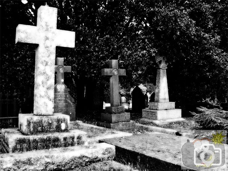 Cemetery 003
