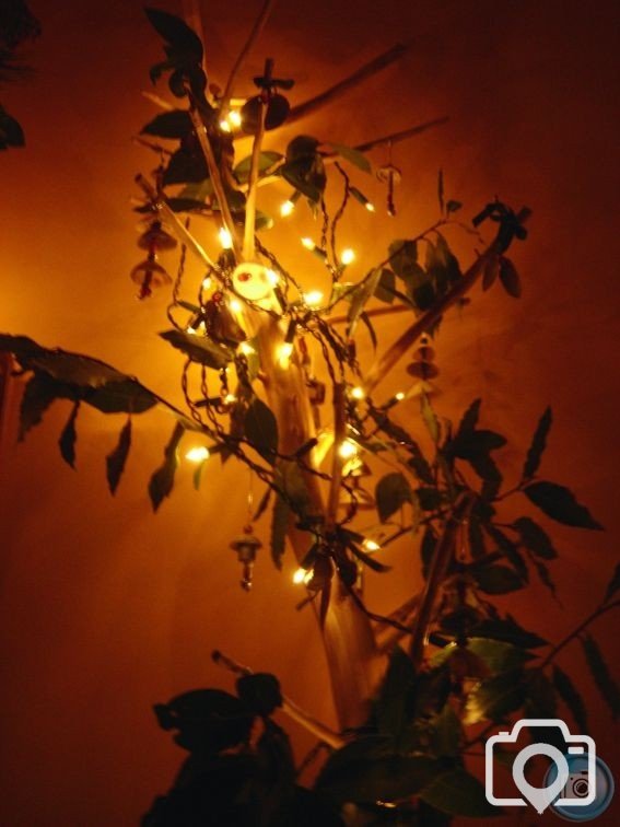 Christmas 2010 - 005