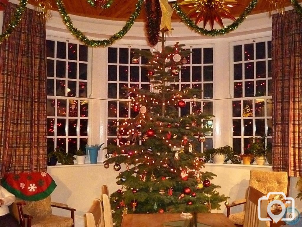 Christmas Tree 1