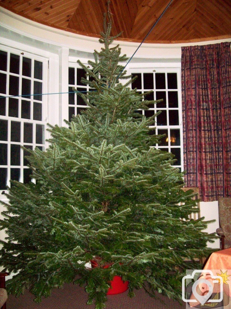 Christmas Tree Hutchens House 2009