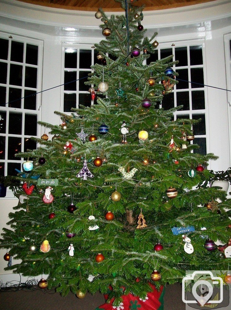 Christmas Tree Hutchens House 2009