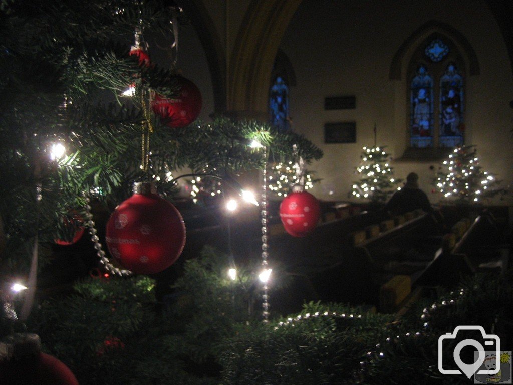 Christmas Trees