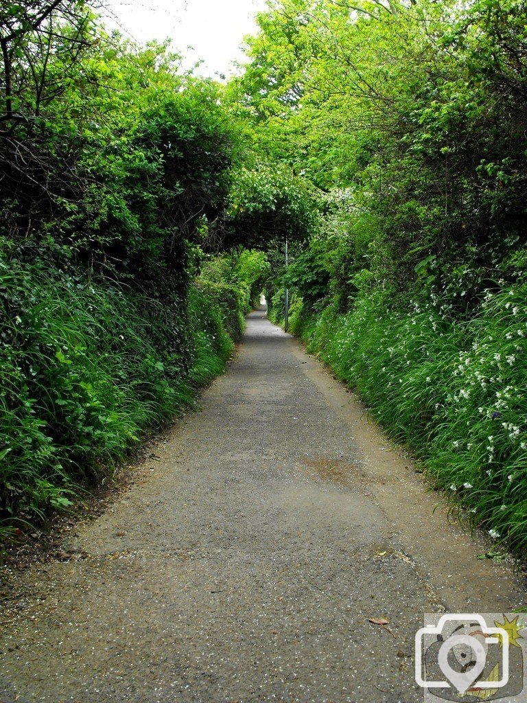 Chyandour Coombe