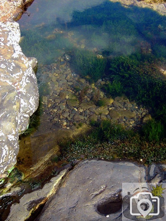 Coastal Rock Pool 1