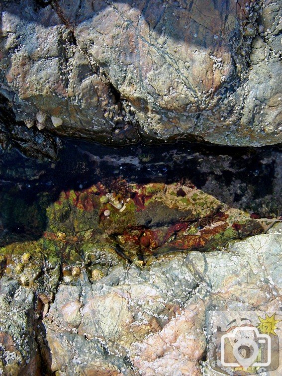 Coastal Rock Pool 2