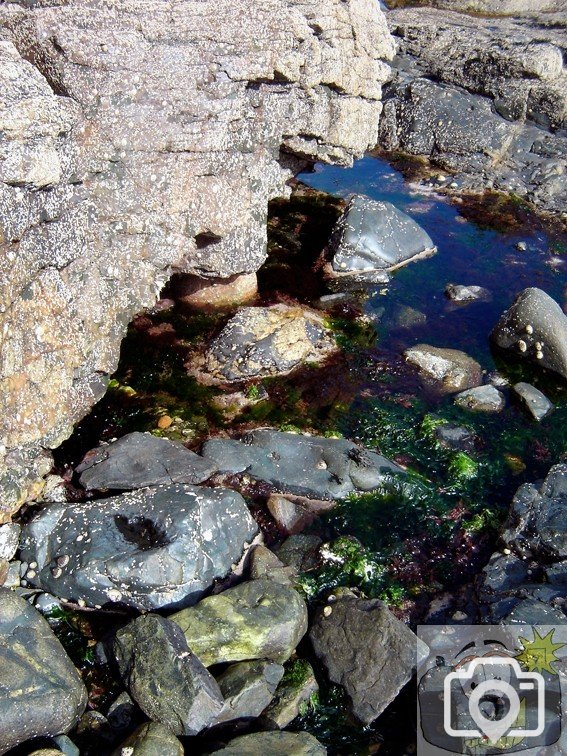 Coastal Rock Pool 4