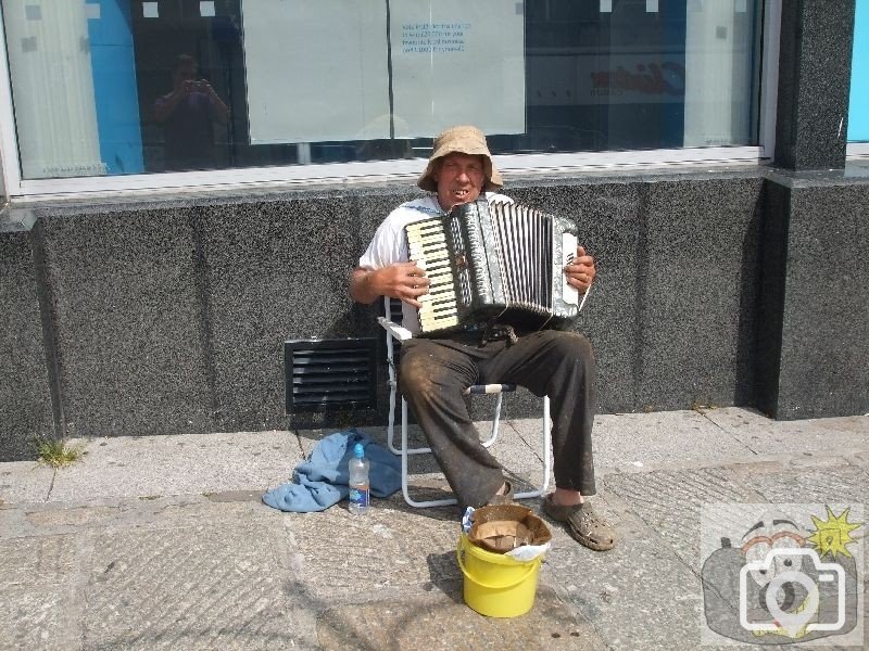 Concertina player