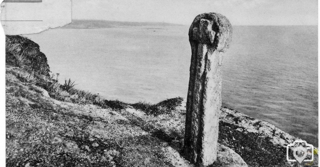 Cornish Cross