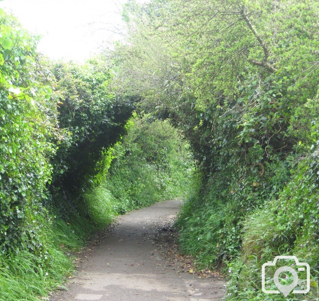 Creeping Lane