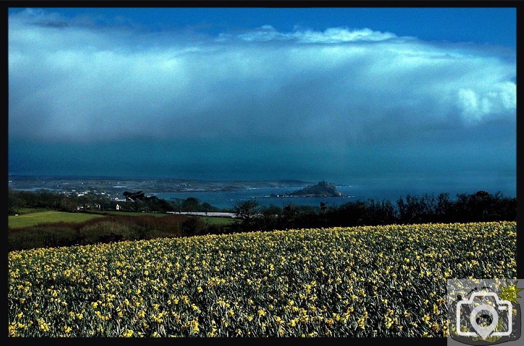 DAFFS AT EASTER