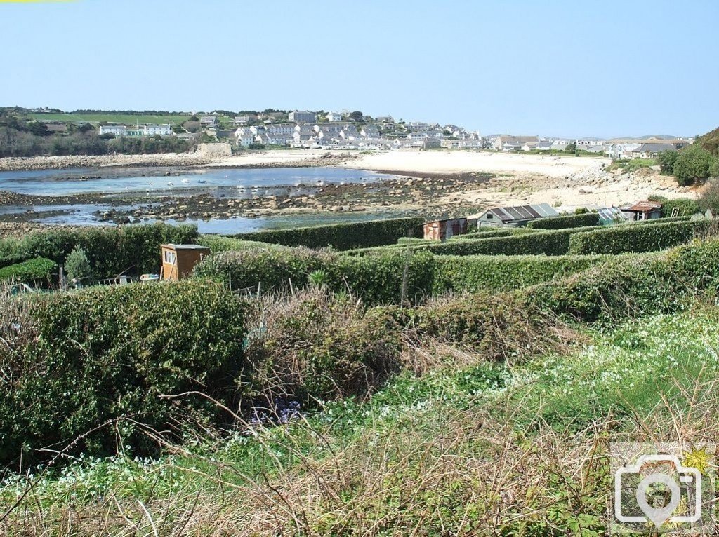 Day Trip to Scilly - 20th April, 2007