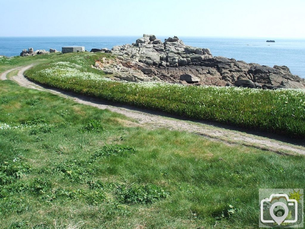 Day Trip to Scilly - 20th April, 2007