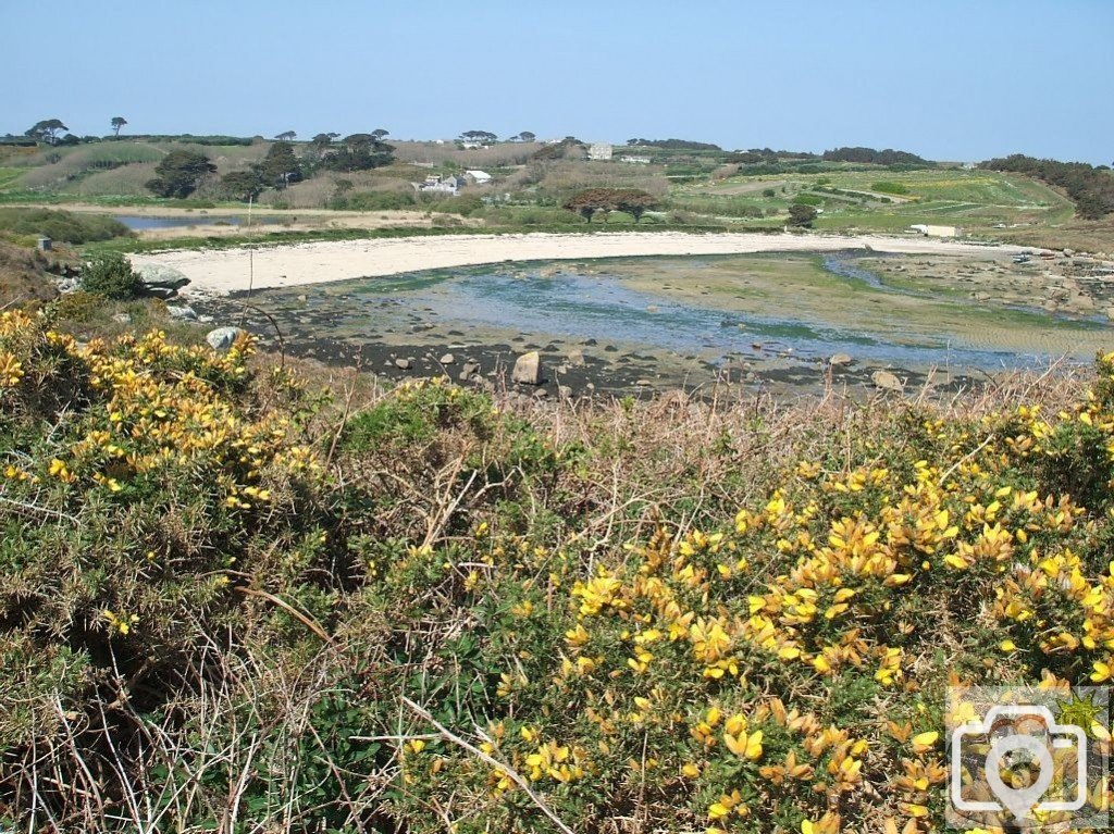 Day Trip to Scilly - 20th April, 2007