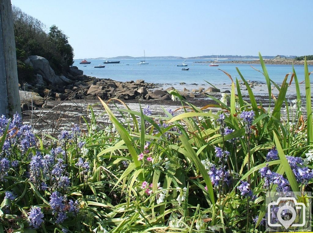 Day Trip to Scilly - 20th April, 2007