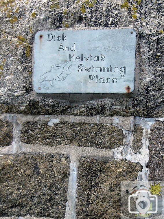 Dick and Melvia