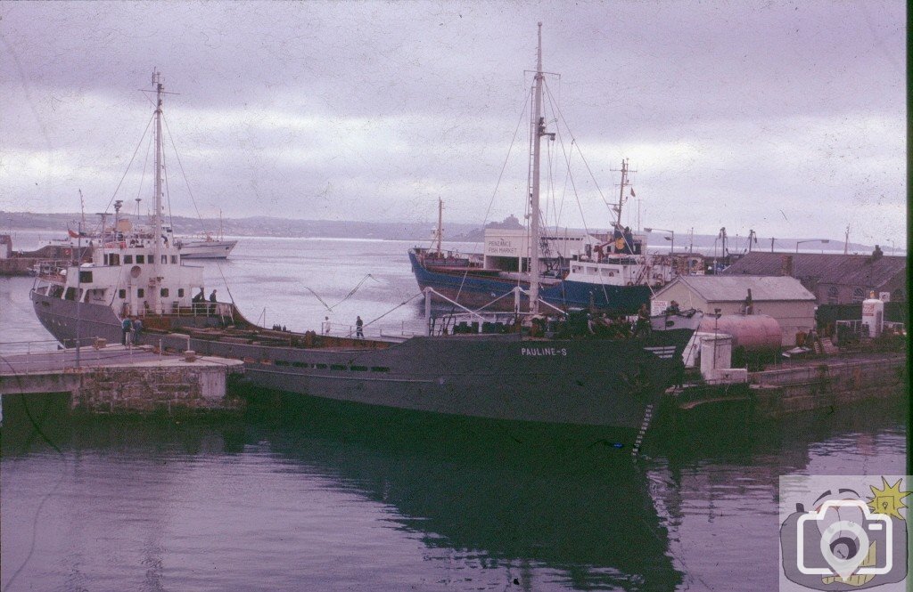 Docking of Pauline-S   6