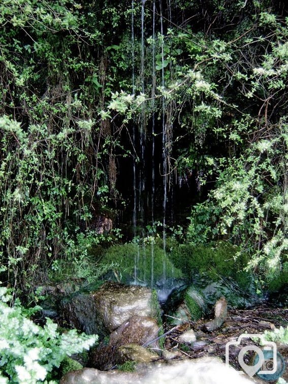 Dripping Water 01
