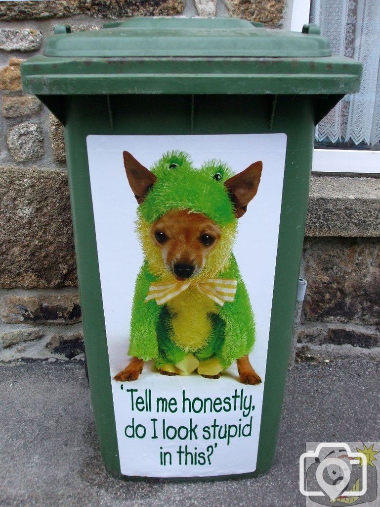 Dustbin art!