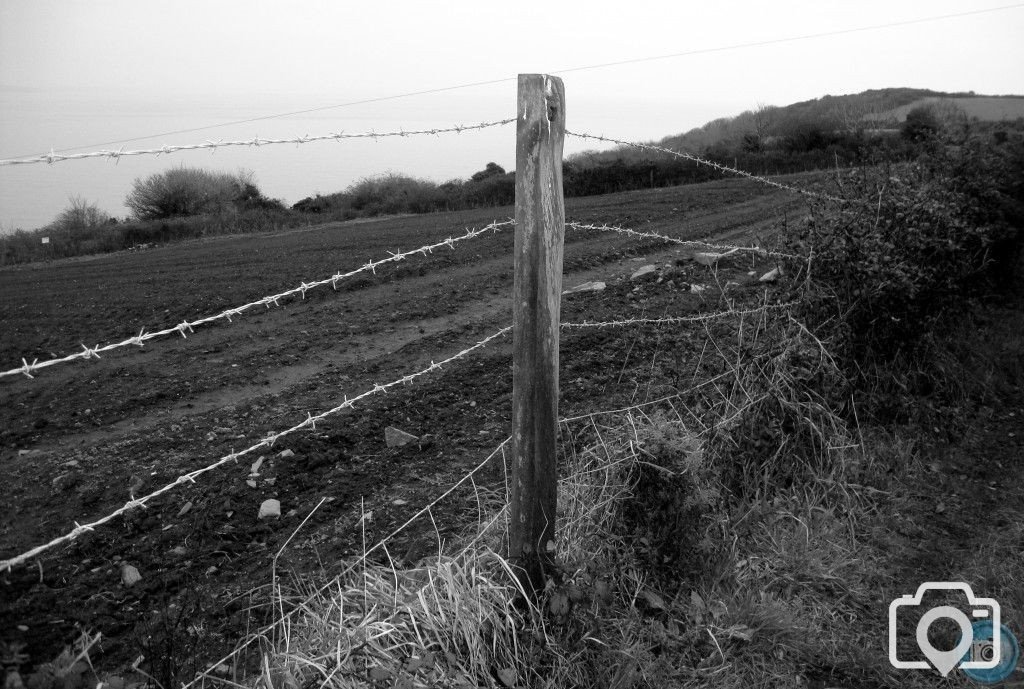 Fence