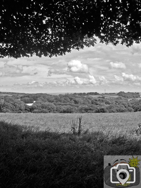 Fields and Clouds