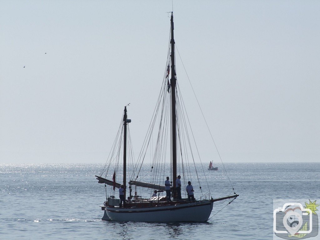 Flotilla - 14