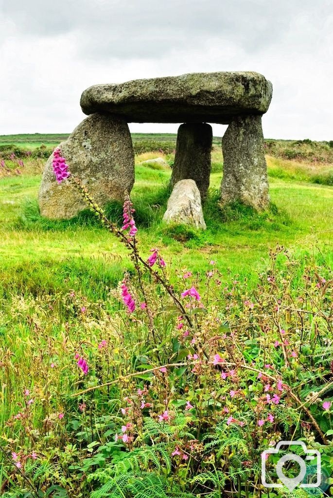 FOXGLOVES AT LANYON QUOIT