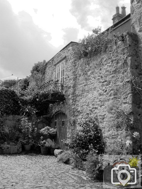 Garden 1