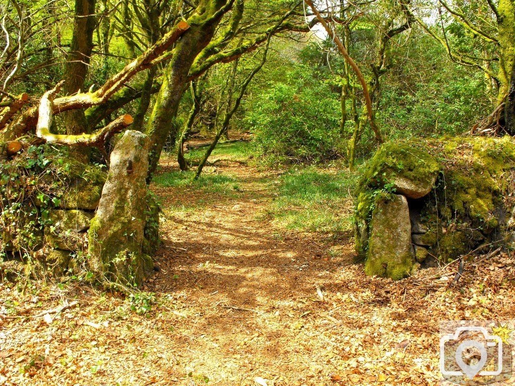 Gateway (1)